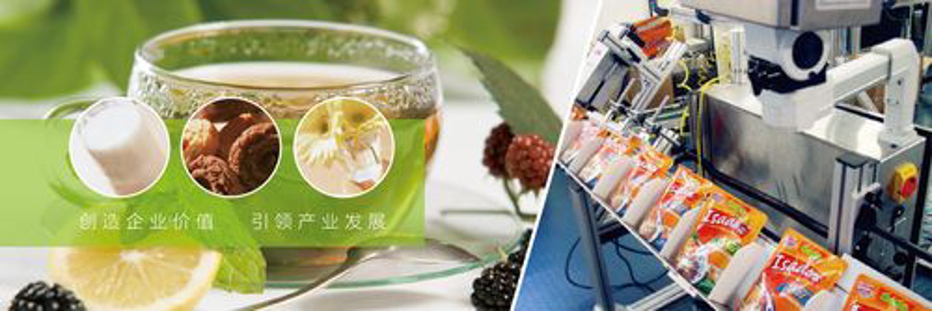 锦明纸业包装